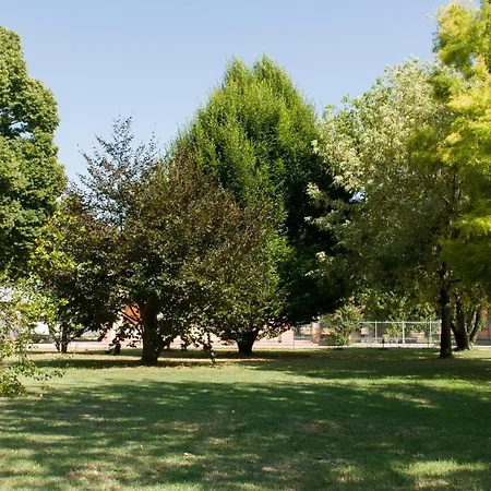 Alojamento de Turismo Rural N'uova Campagna *