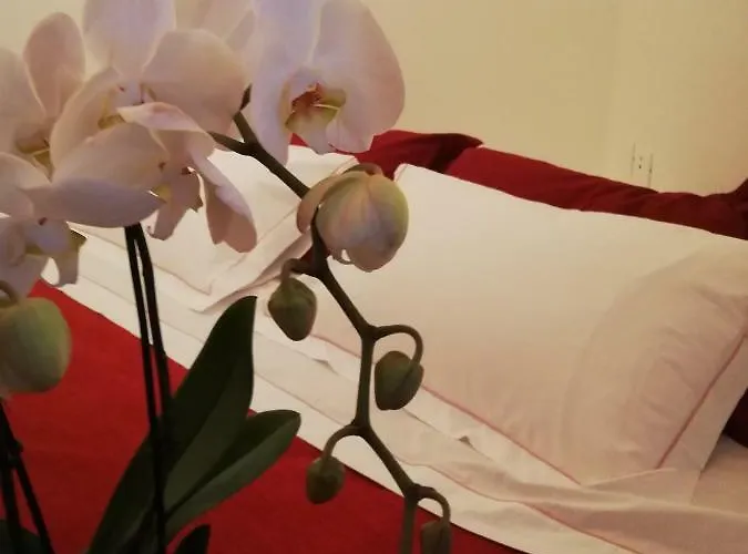 Farm stay N'uova Campagna