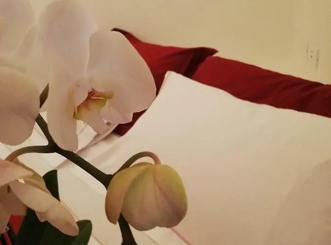 N'uova Campagna Bologna