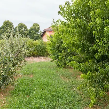 N'uova Campagna Bologna