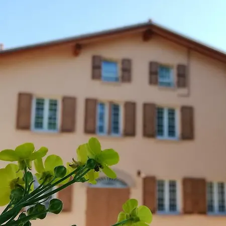 N'uova Campagna