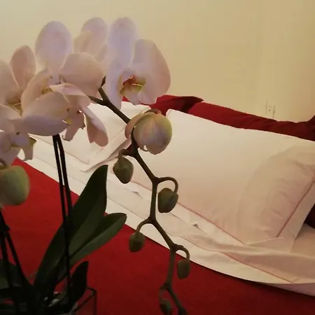 Çiftlik konaklama N'uova Campagna