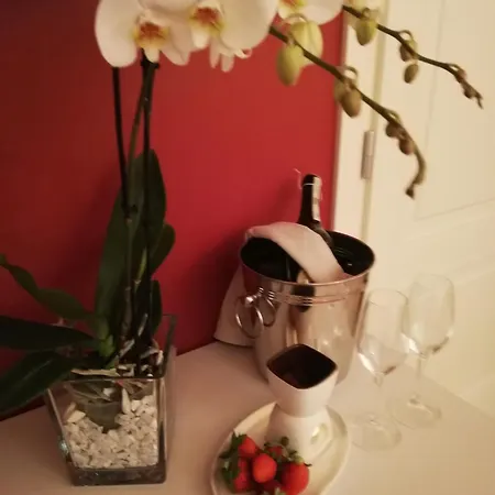 N'uova Campagna Μπολόνια