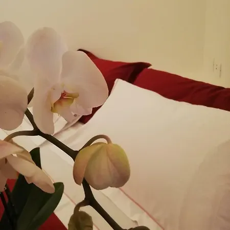 N'uova Campagna Boloňa